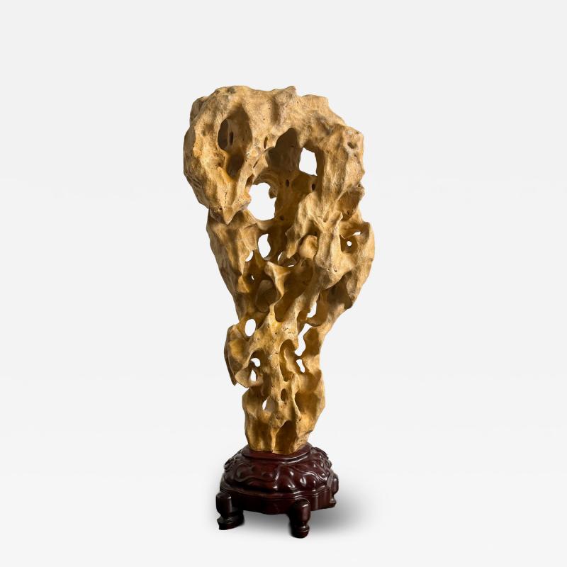 Extraordinary Large Chinese Scholar Rock Yellow Taihu Stone on Wood Stand