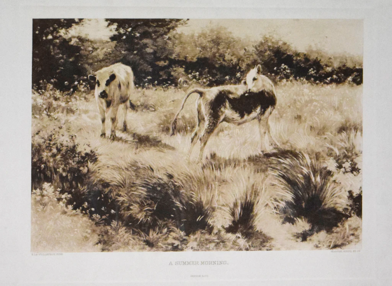 F DE VUILLEFROY AFTER A SUMMER MORNING