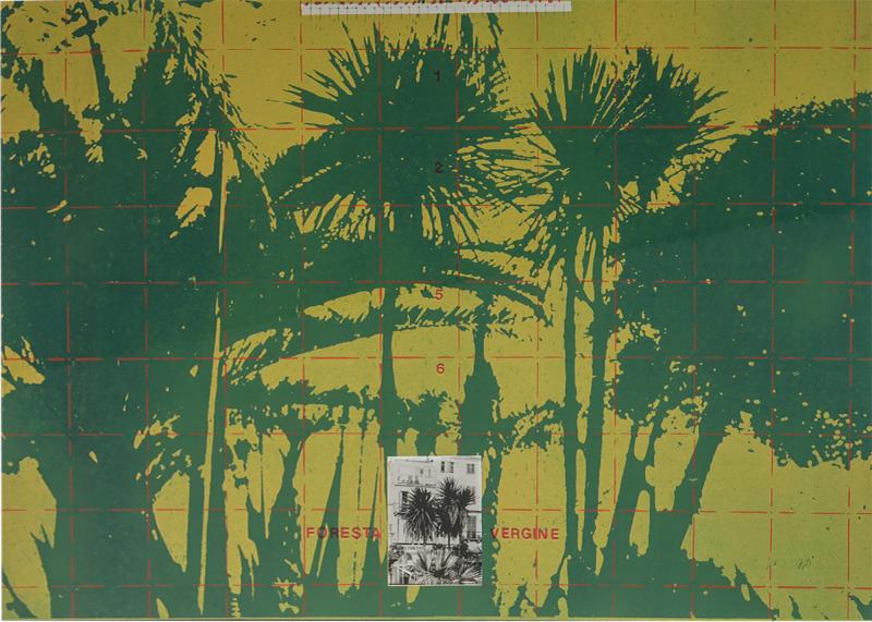 Fernando De Filippi Foresta Vergine Artwork by Fernando De Filippi for Jabik