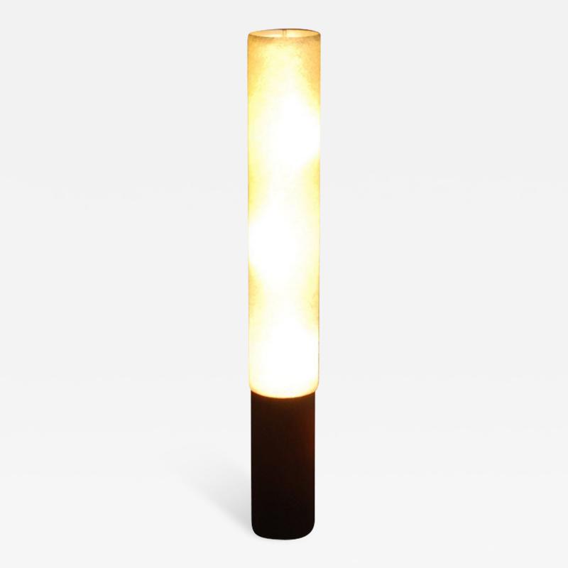 Fine French 1950s Veneered Metal and Plastic Floor Lamp