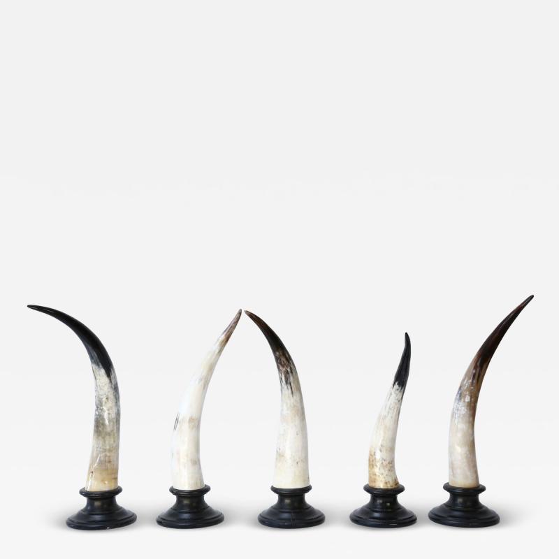 Five Horn Sculptures