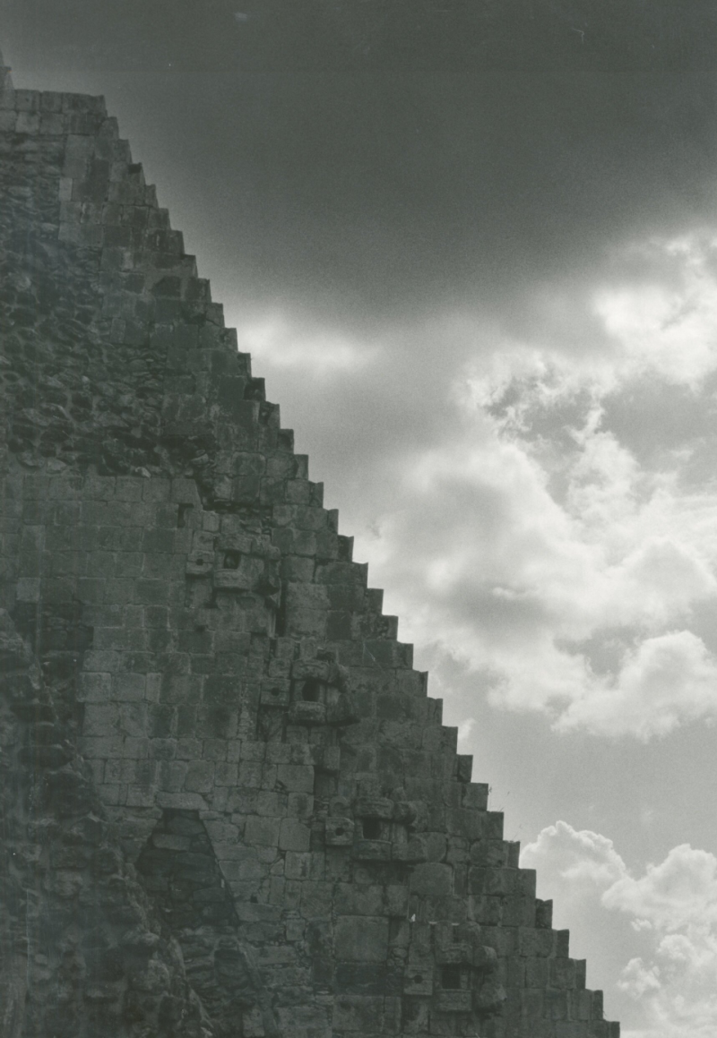 Flor Gardu o Stairs to the Sky Escalera al cielo Mexico 2016