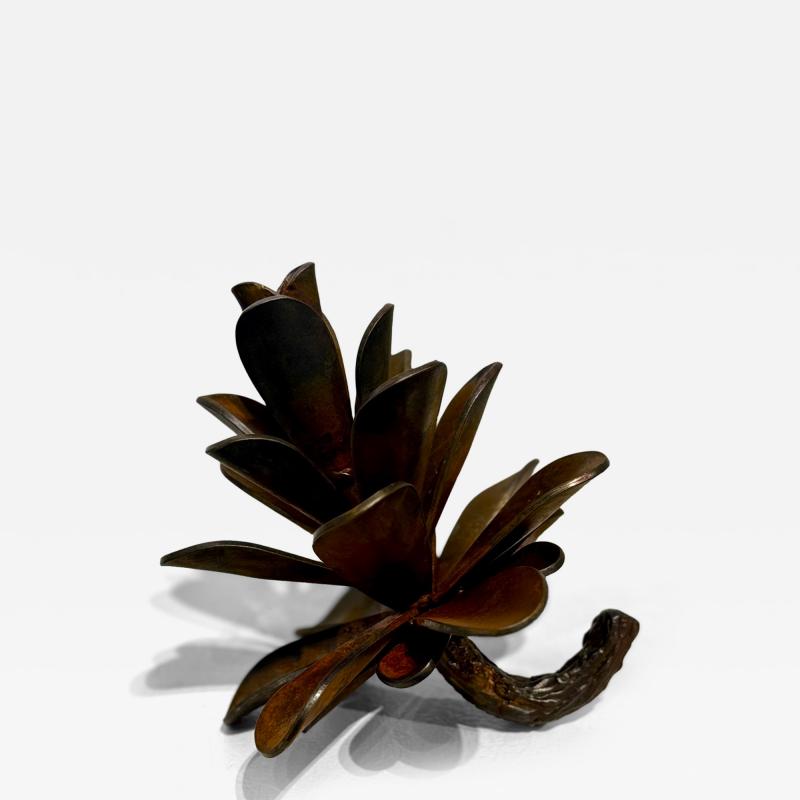 Floyd Elzinga 25 594 Pine Cone