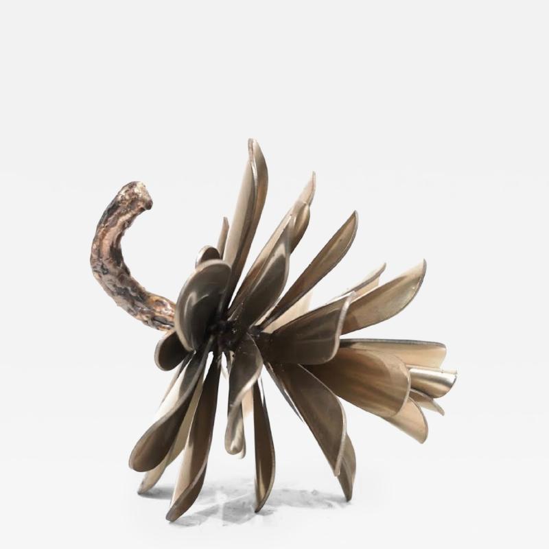 Floyd Elzinga Pinecone 25 580