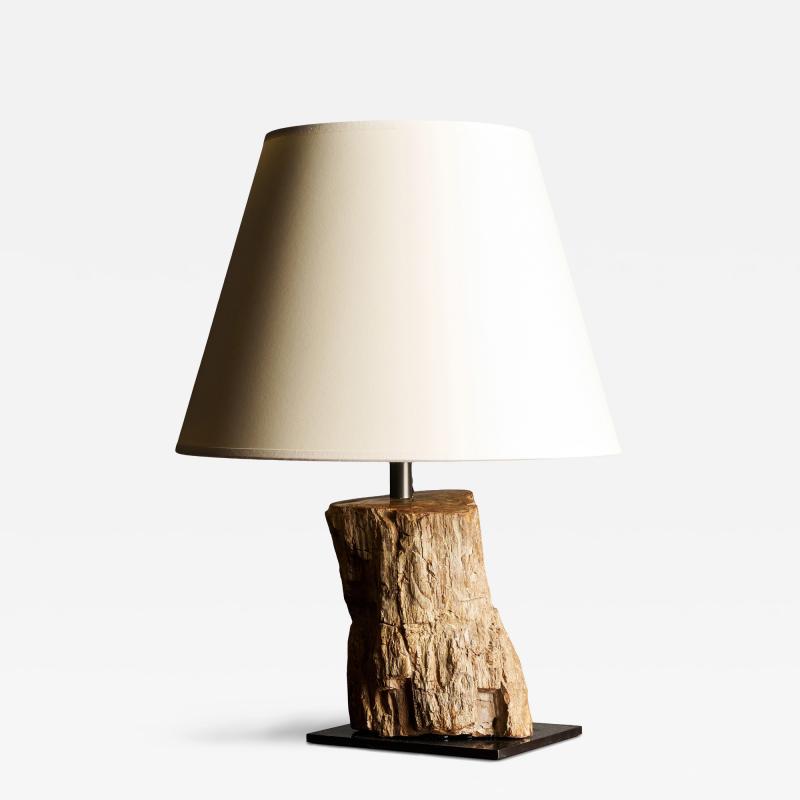 Fossilized Wood Table Lamp France 20th C