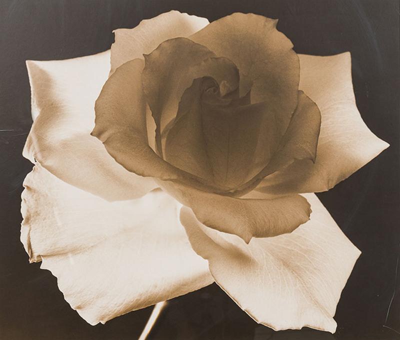 Frederic Ohringer Signed Photograph Joyce 1940 