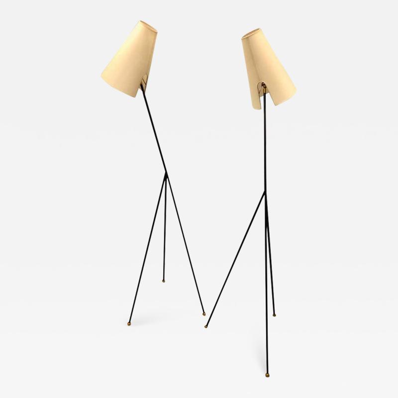French Mid Century Modern Wrought Iron Floor Lamp Attributed Disderot