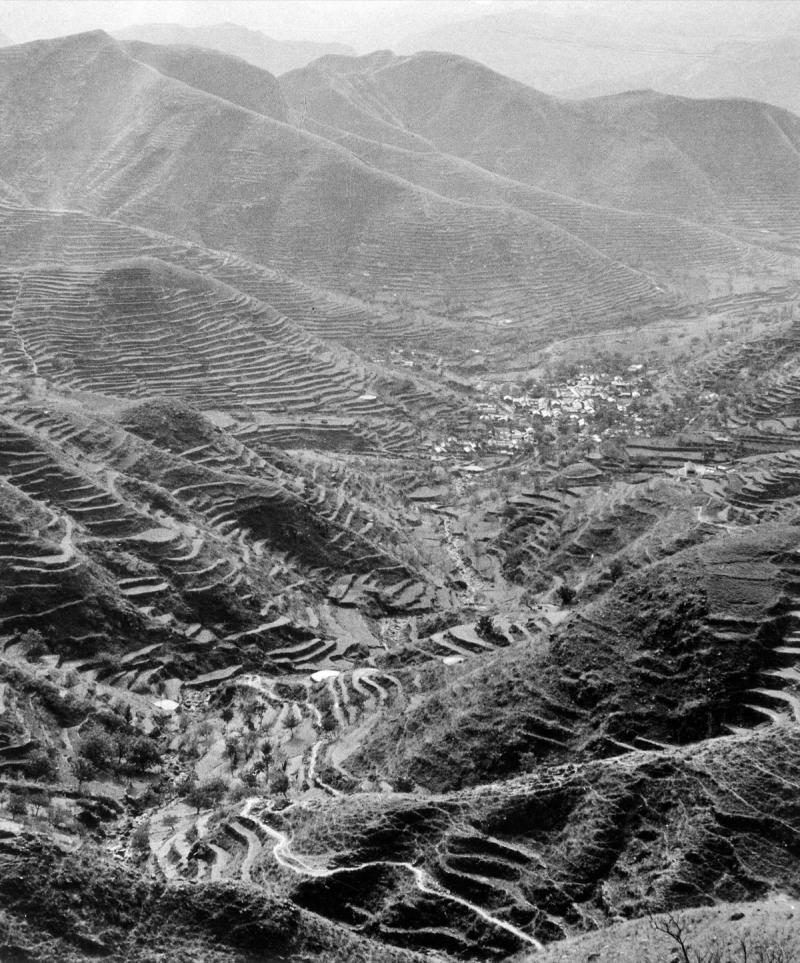 Fritz Henle Landscape Rice Fields Peking China