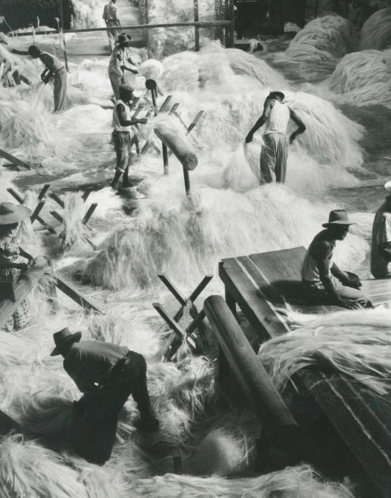 Fritz Henle Sisal Factory Haiti