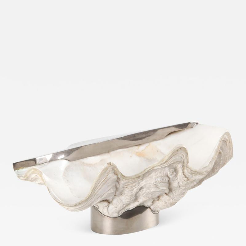 Gabriella Crespi Mounted Giant Clam Shell in the Style of Gabrielle Crespi 1950s