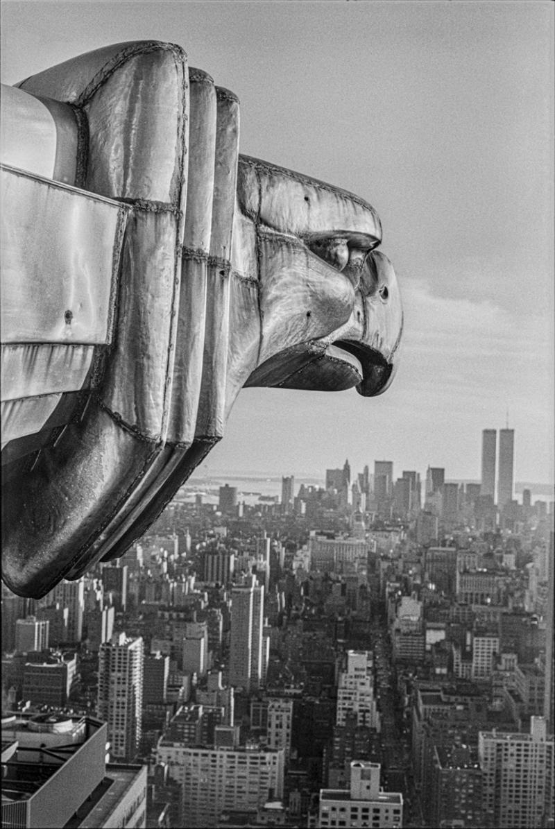 Gargoyles of Gotham Photograph by Don Hamerman