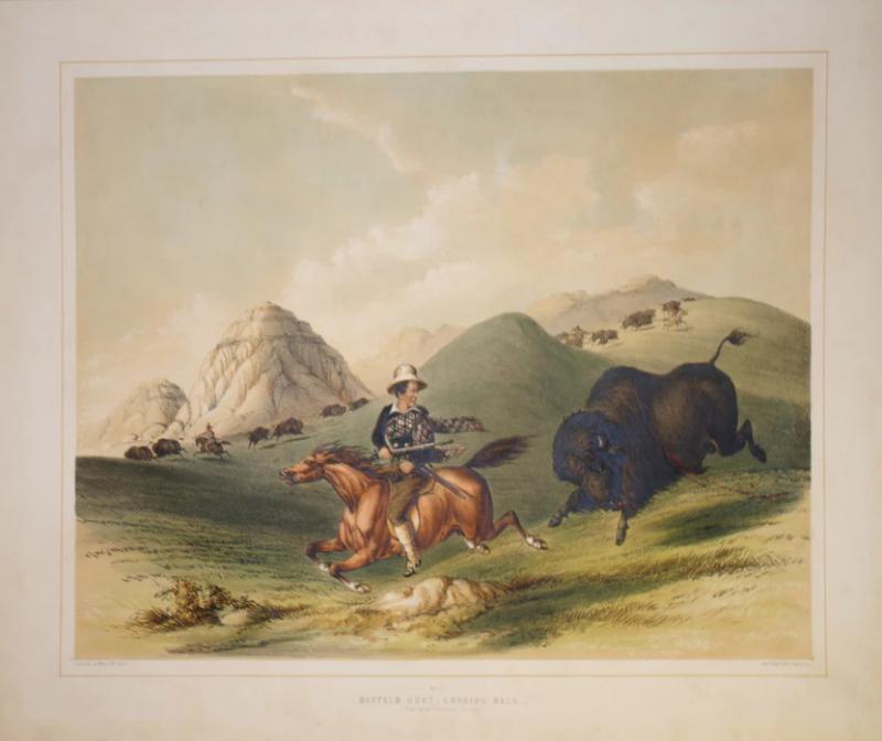 George Catlin GEORGE CATLIN 1796 1872 BUFFALO HUNT CHASING BACK