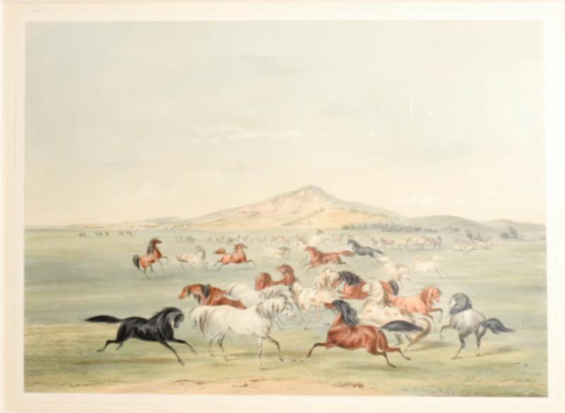 George Catlin GEORGE CATLIN 1796 1872 WILD HORSES AT PLAY