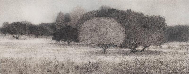 George Tzannes Olive Grove 2010