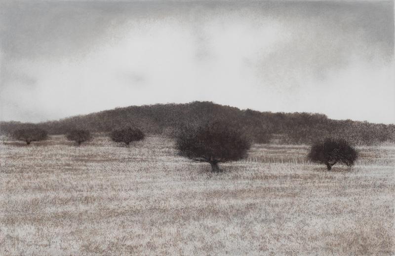 George Tzannes Olive Grove Black and White Landscape of Greek Island 2010