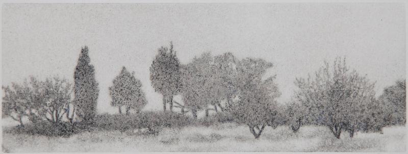 George Tzannes Trees in the Mist Black and White Greek Landscape with Cypress and Olive Trees