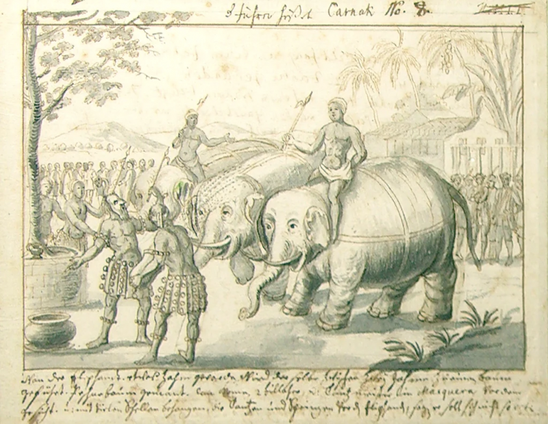 German School GERMAN SCHOOL 18TH CENTURY SCENE WITH ELEPHANTS RHINOS AND WARRING FIGURES
