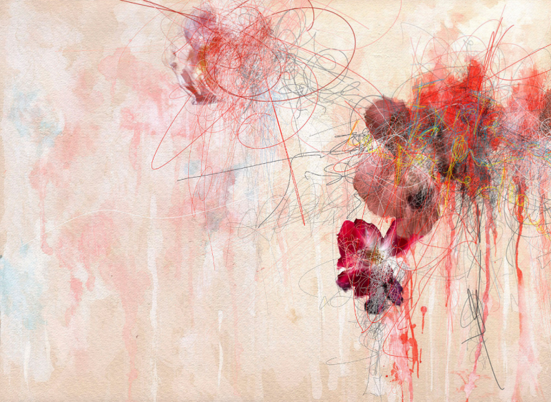 Gianfranco Pezzot Blood and Seed Abstract Photography 2020