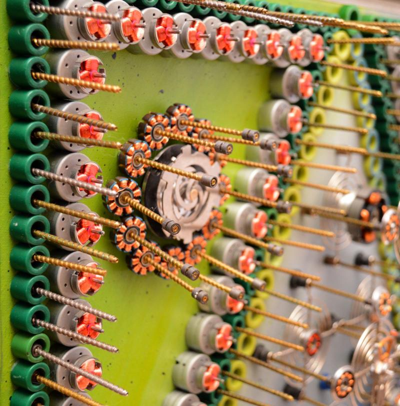 Goga Gomareli Expwctation