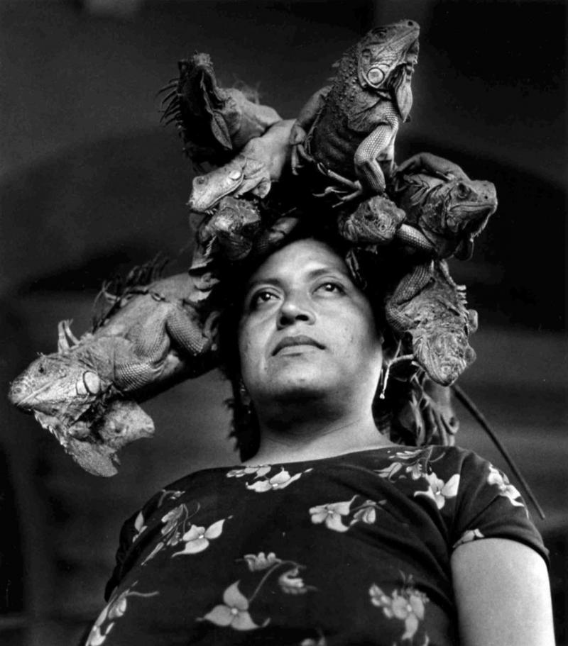 Graciela Iturbide Our Lady of the Iguanas Nuestra Se ora de las Iguanas Juchit n