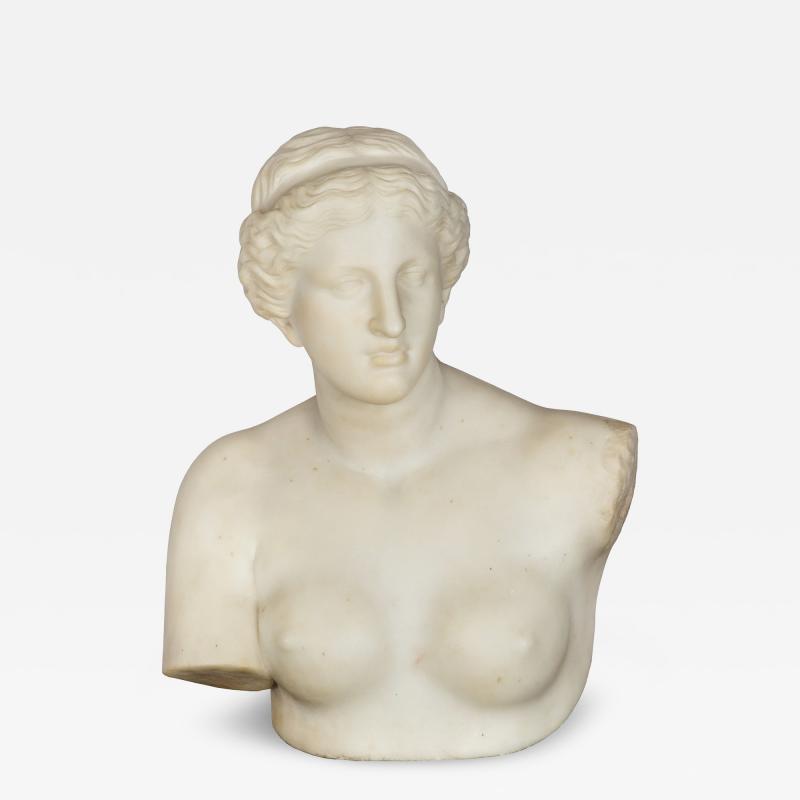Grand Tour Marble Bust Venus de Milo after Antiquity