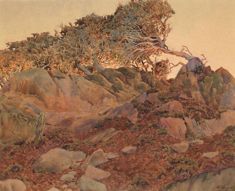 Gunnar Widforss Fallen Cedar