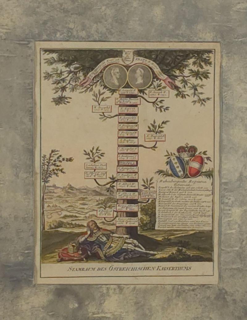 Habsburg Family Tree Hand Colored Engraving 18th century or earlier