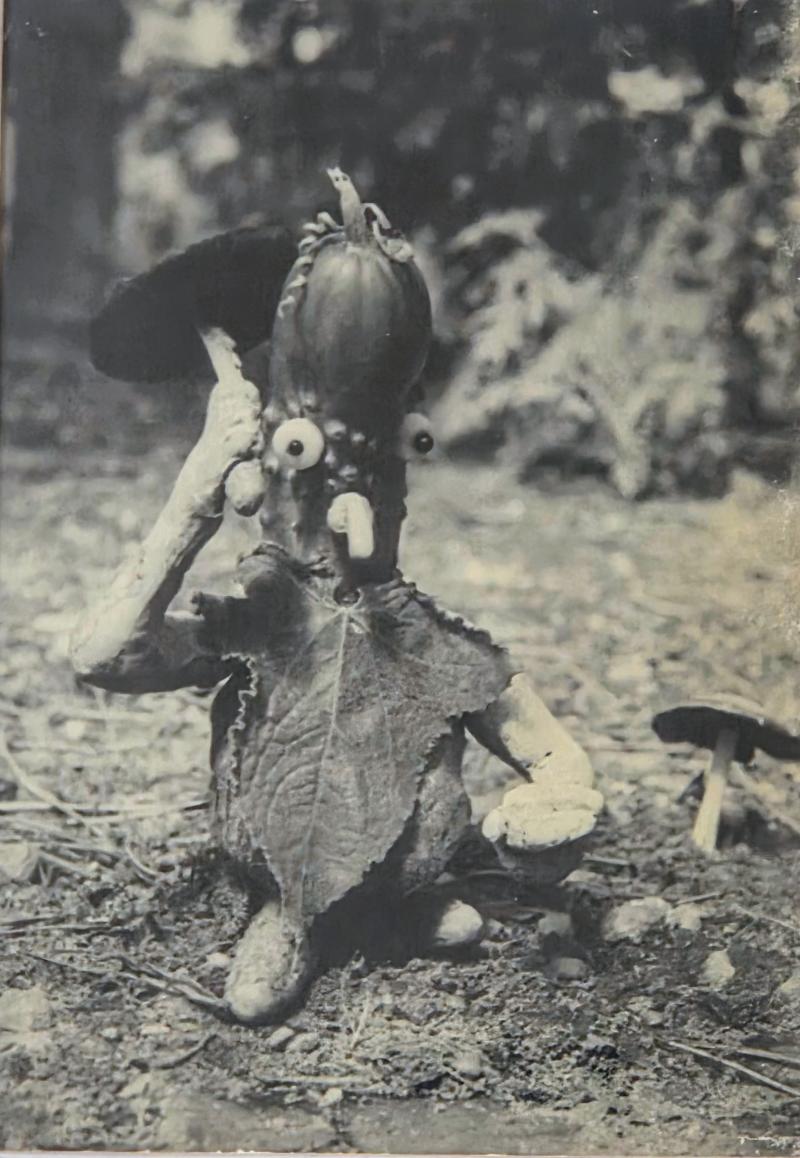 Henry Rox Henry Rox My Name is Cucumber He Said Silver Print c 1940