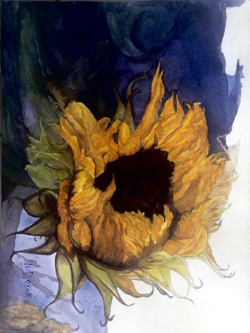 Hetty Doyle The Sunflower