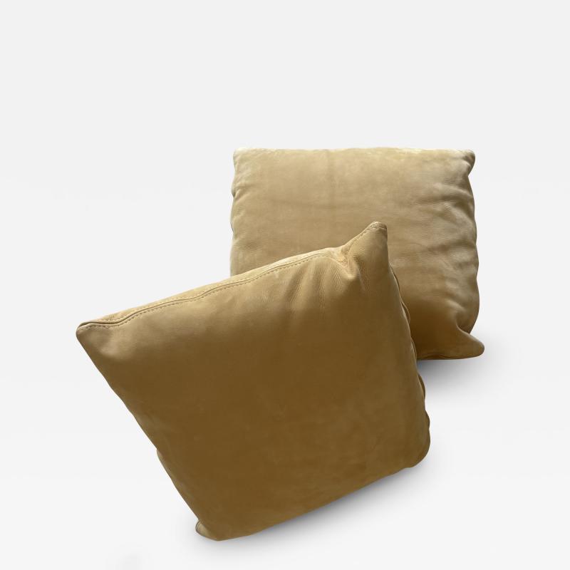 Holly Hunt 2 pillows