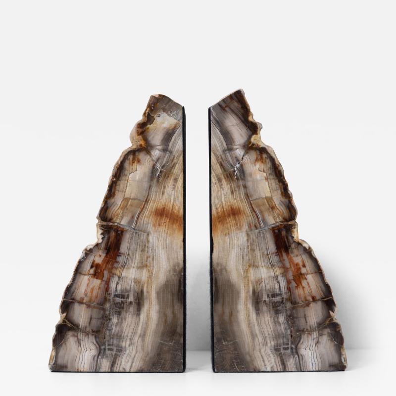 Impressive Pair of Tall Petrified Wood Bookends