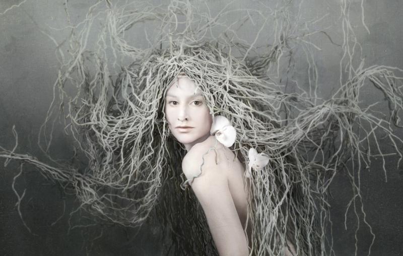 Isabelle van Zeijl Her Roots Small