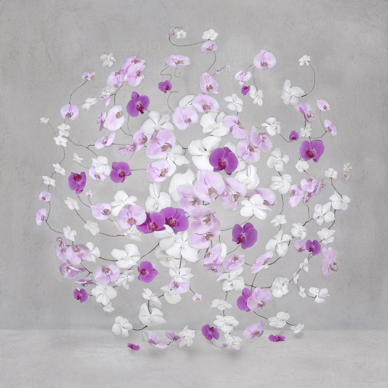 Isabelle van Zeijl Infinite Amaranth 3 2 APs 