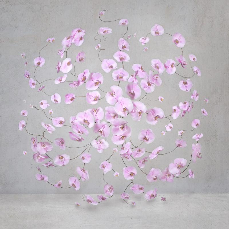 Isabelle van Zeijl Infinite Pink