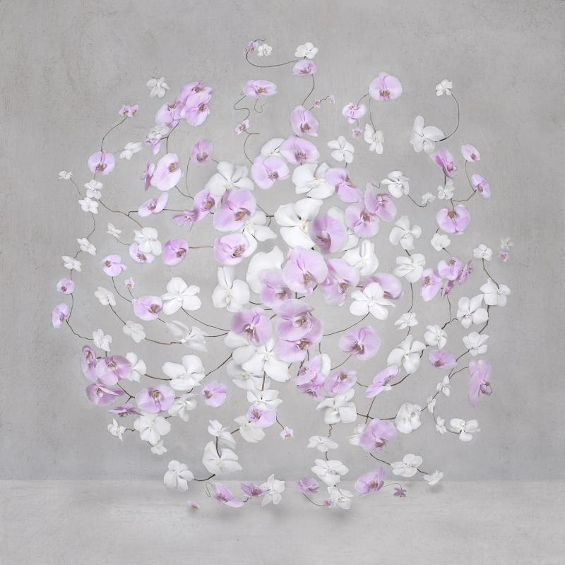 Isabelle van Zeijl Infinite Pink Light 12 