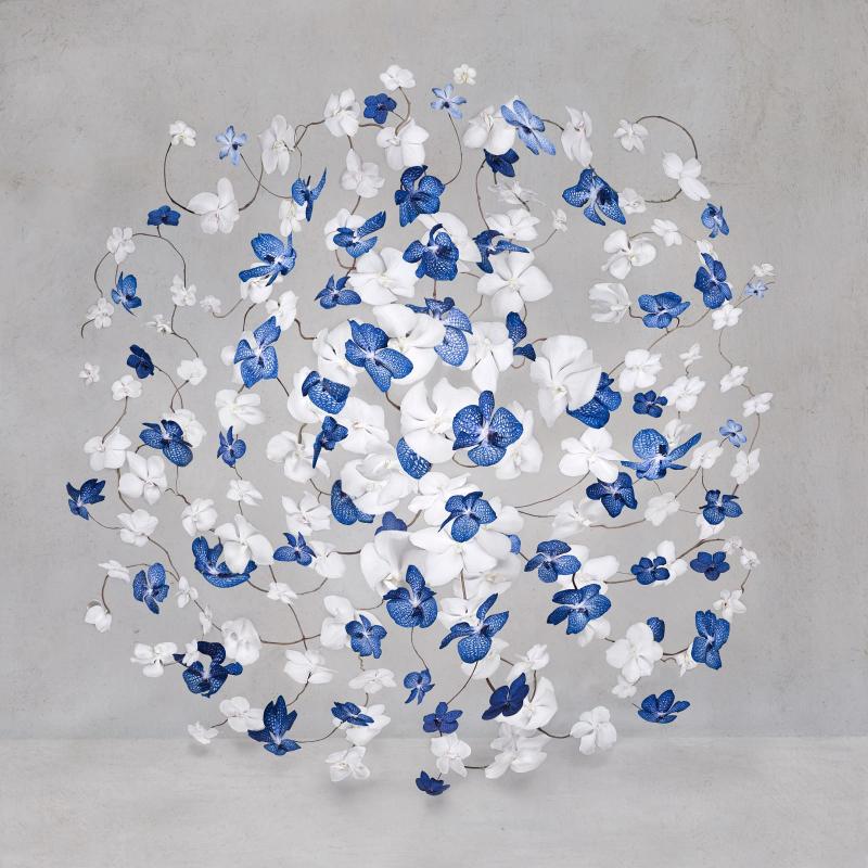 Isabelle van Zeijl The Sea The Sky