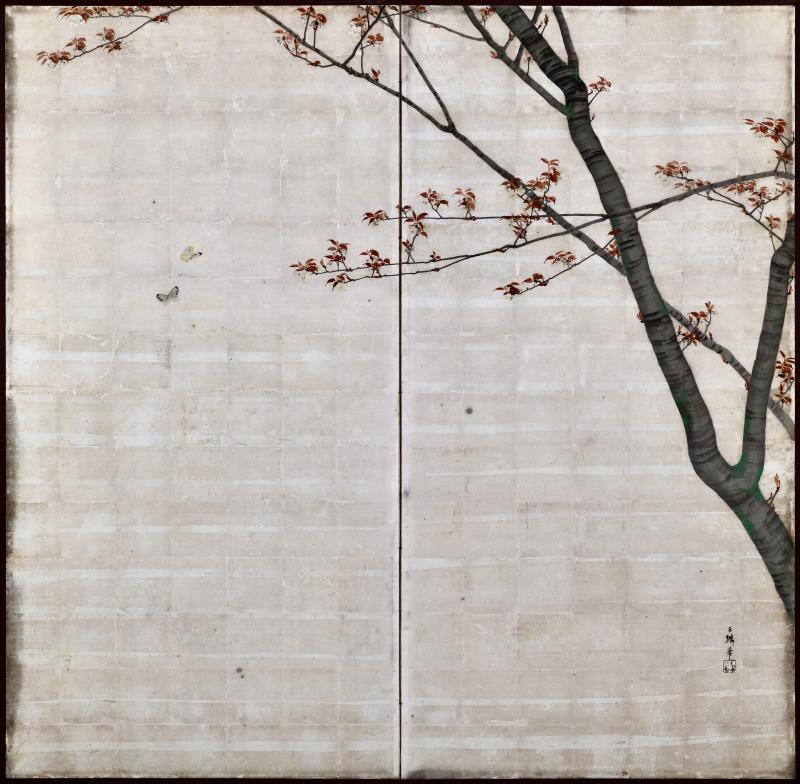Isobe Hyakurin 1895 Meiji Japanese Screen Pair Cherry Blossoms Autumn Maples on Silver Leaf