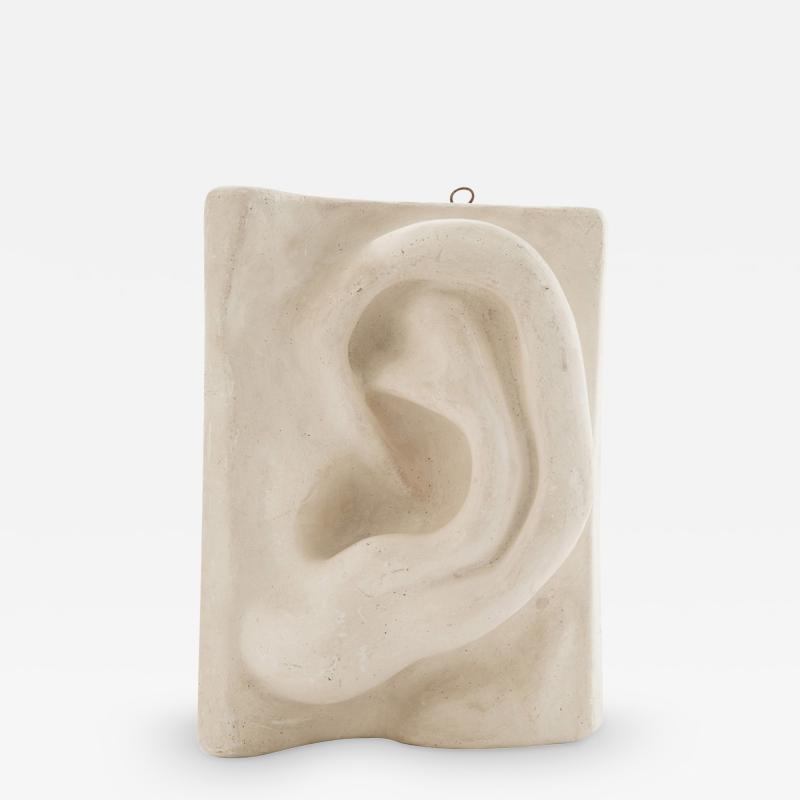 Italian Renaissance Michelangelos David Plaster Ear Detail