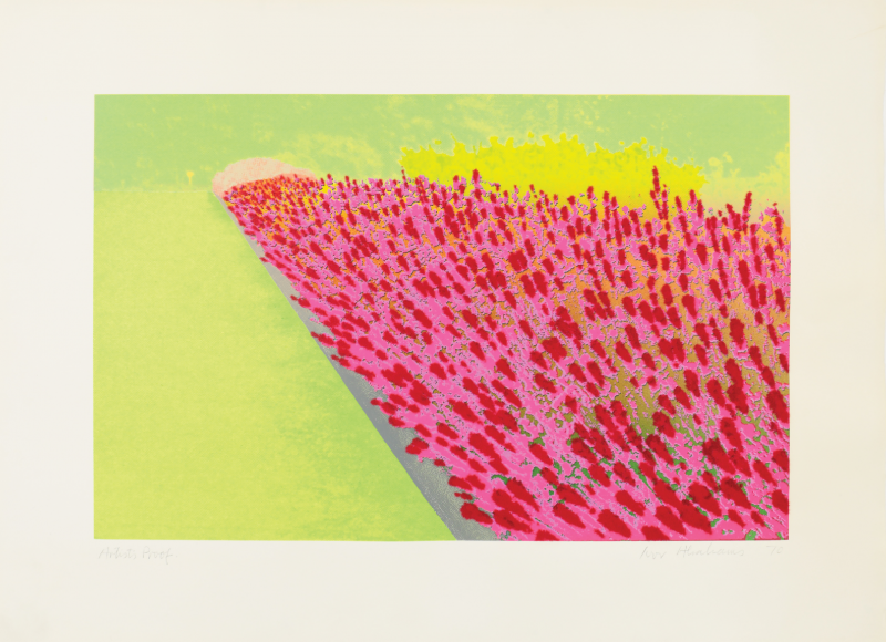 Ivor Abrahams Flower Garden