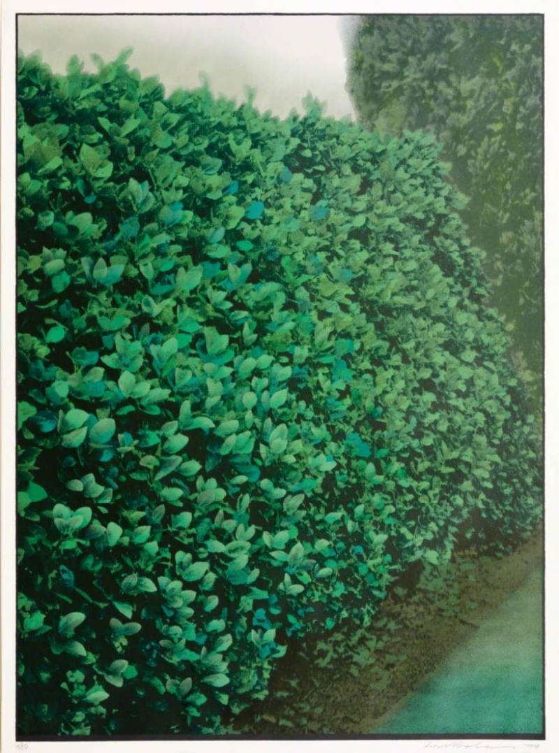 Ivor Abrahams Hedges green 1977