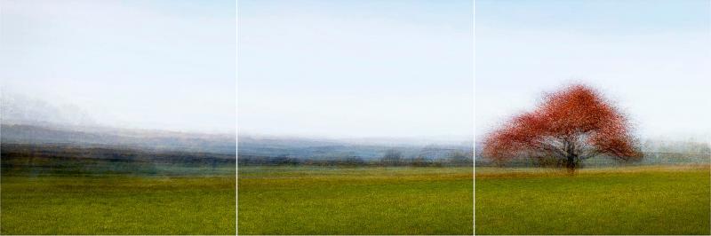 Jacob Gils Frederiksdal 9 Triptych