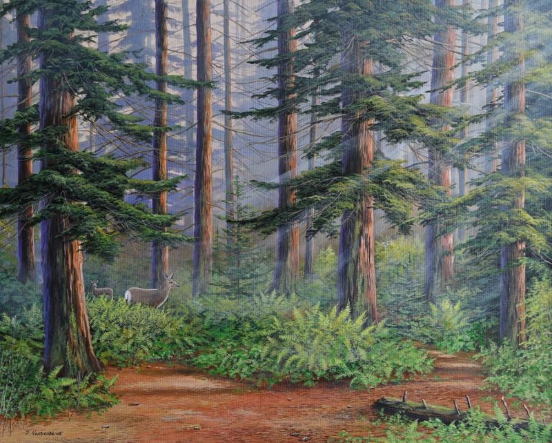 Jake Vandenbrink West Coast Woods