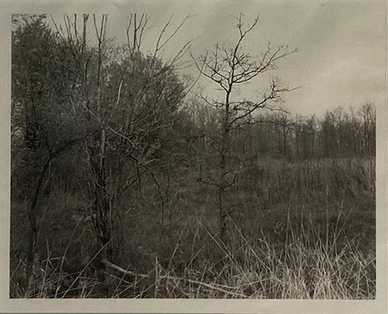 Jan Grover Jan Grover Photograph