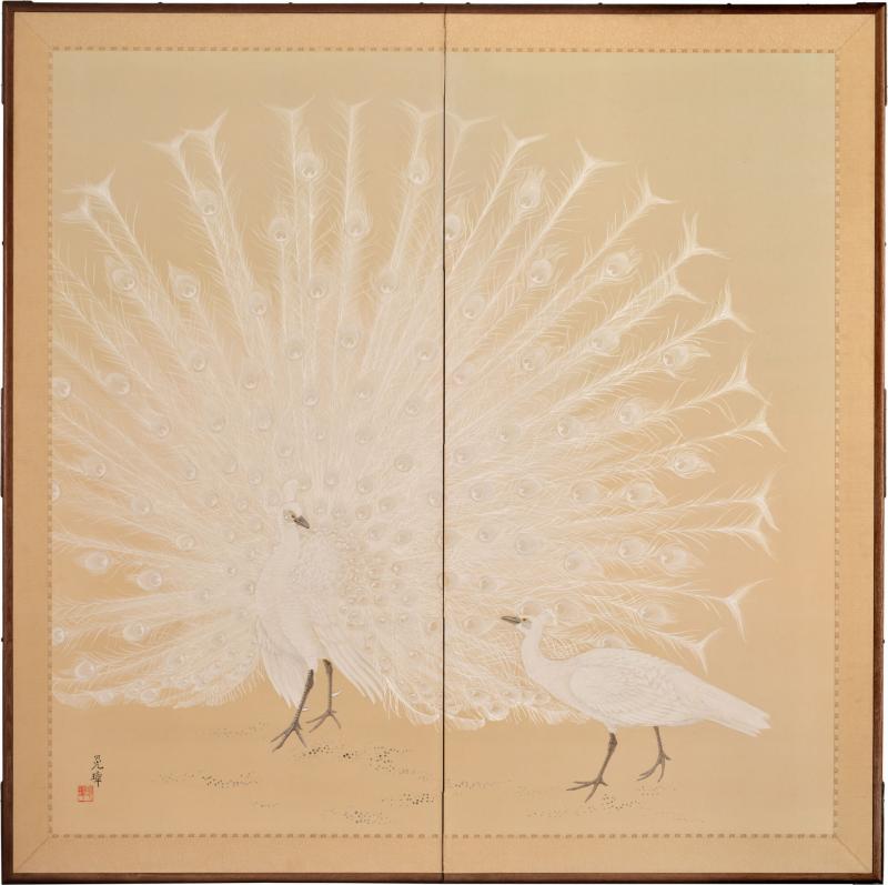 Japanese Two Panel Screen White Peafowl in Courtship Display
