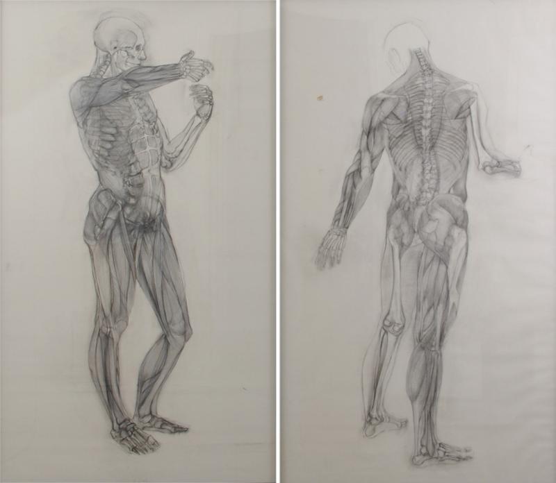 Jaye Gergory Pair of Life Sized Anatomical Studies 83 x 49 