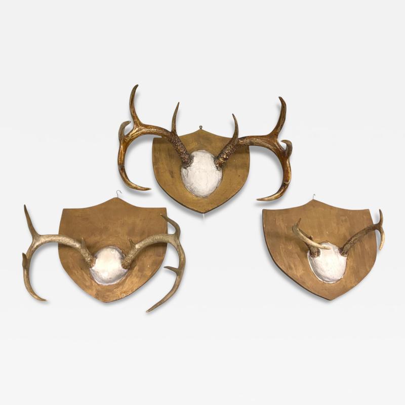 Jean Charles Moreux Set 3 French Alps Gilt Shield Mounted Antlers attr Jean Charles Moreux c 1935
