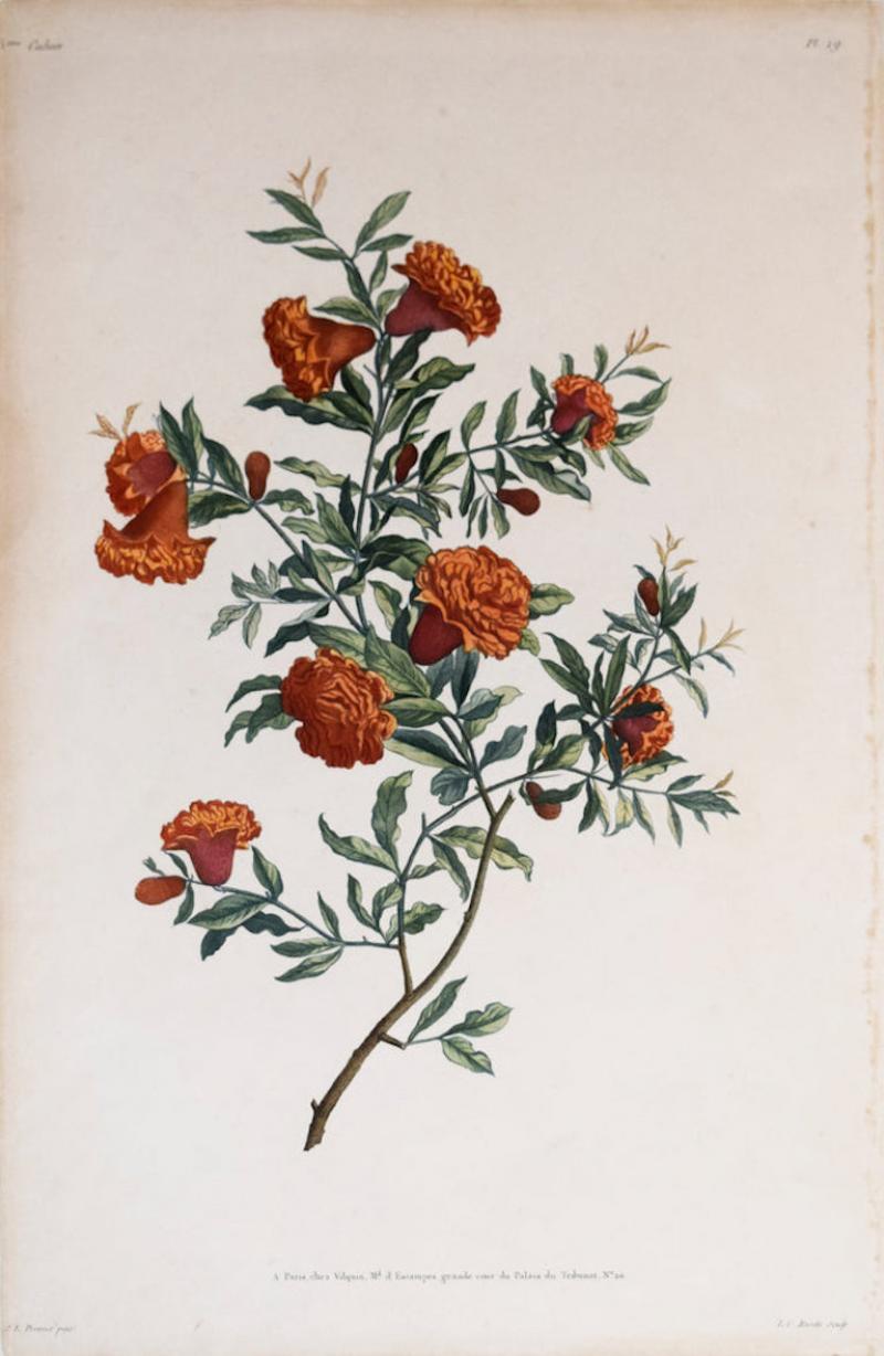 Jean Louis Prevost JEAN LOUIS PREVOST 1760 1810 PLATE 19