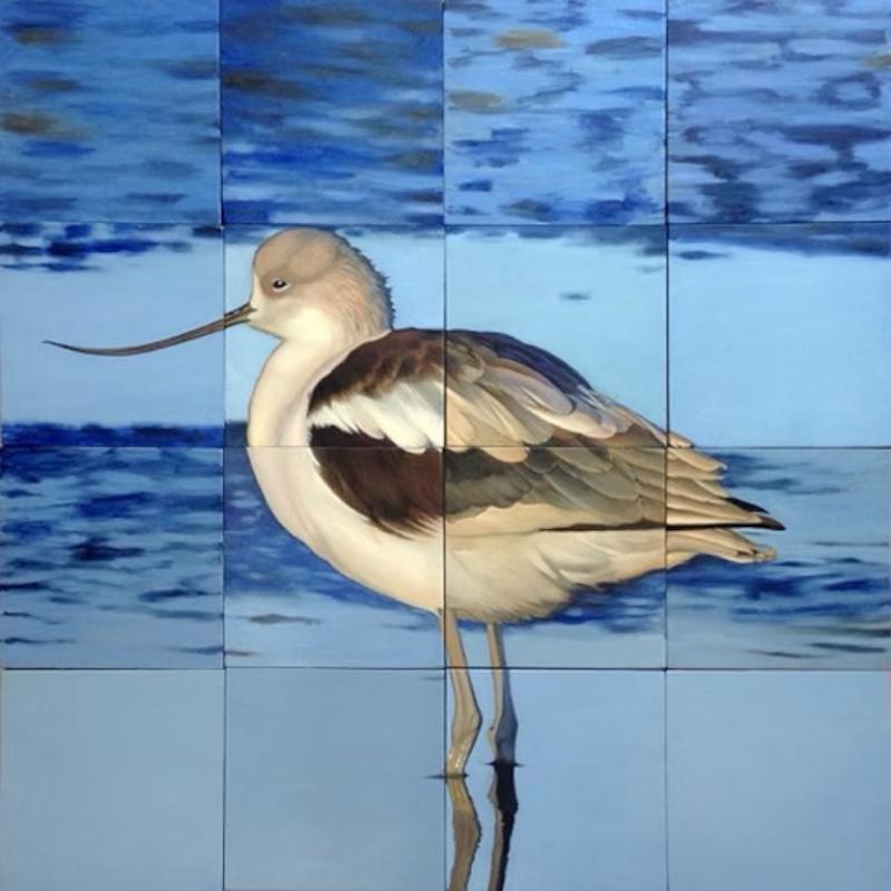 Jeff Cohen WINTER AVOCET