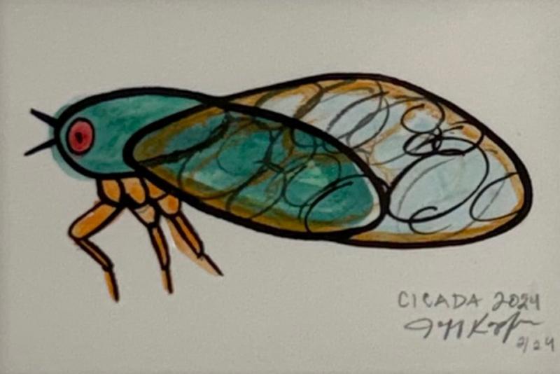 Jeff Kapfer Cicada