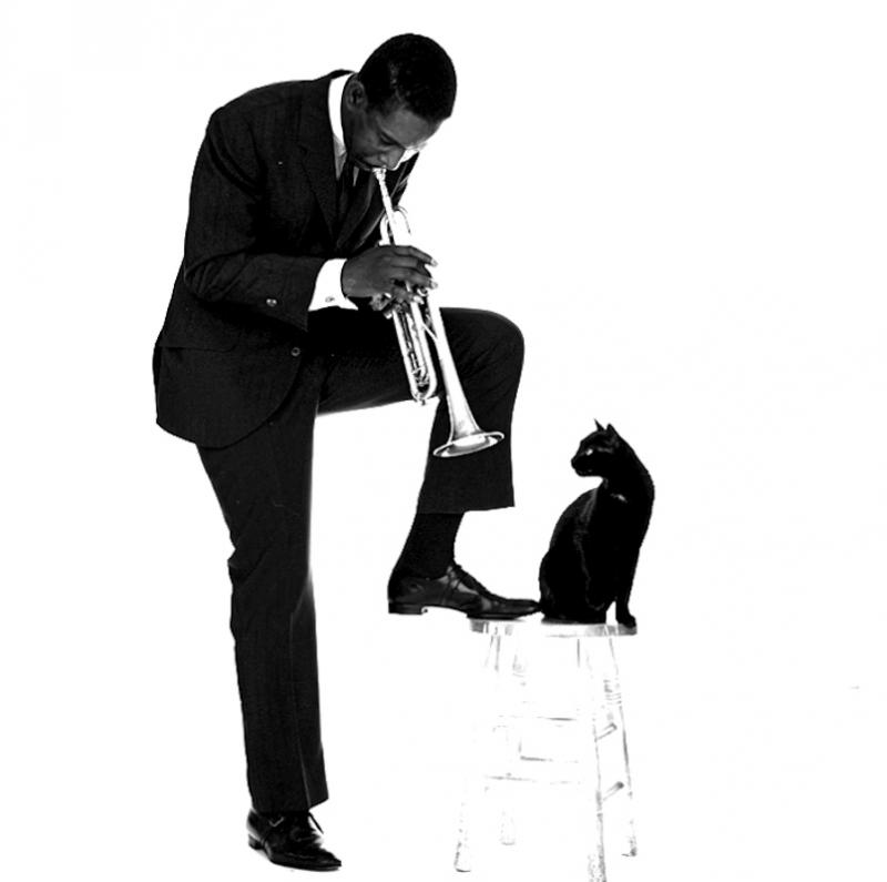 Jerry Schatzberg Kenny Dorham Jazz Cat